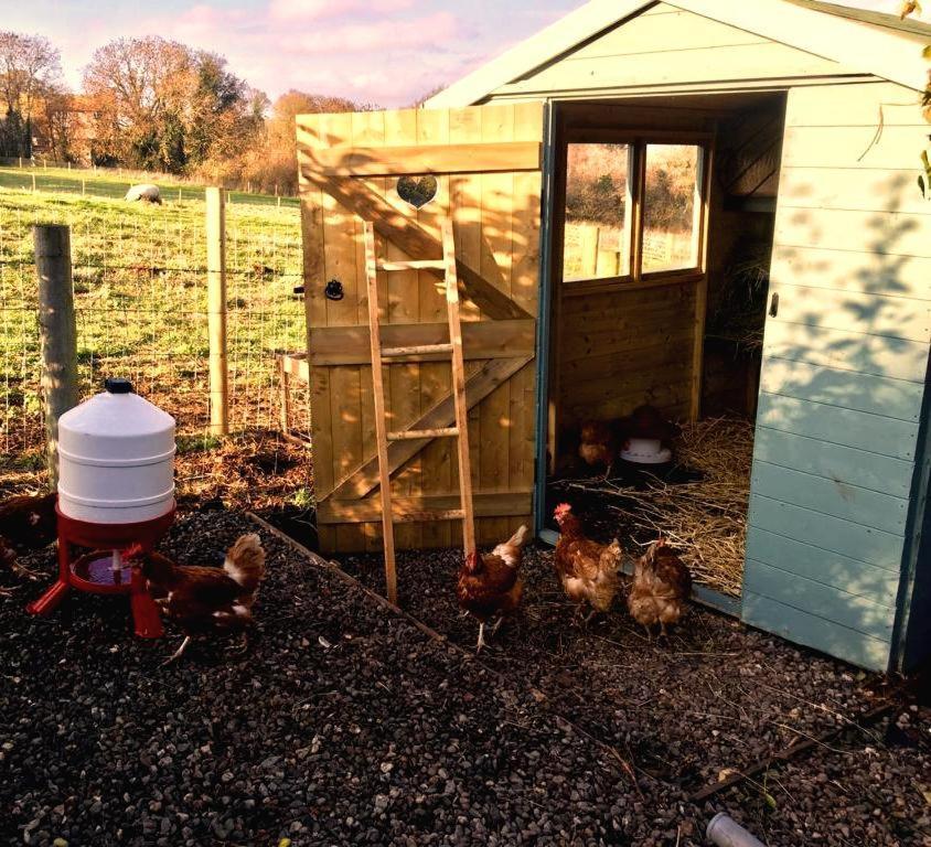The Summerhouse, Countryside Retreat With Private Hot Tub 布里奇诺斯 外观 照片